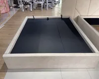 202502110113